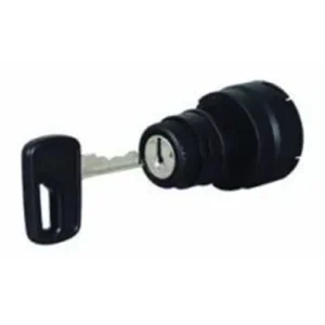 Ignition Switch 4 Position Bg1
