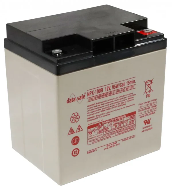 DATASAFE-NPX100-12