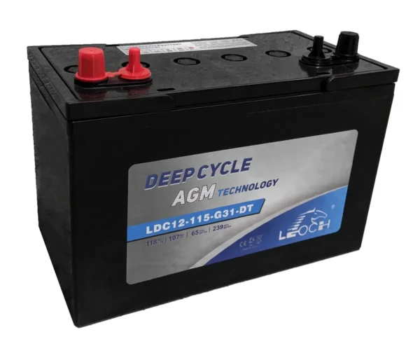 LEOCH-LDC12-115-G31-DT