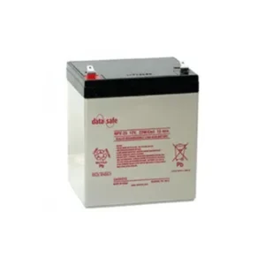 Enersys Datasafe NPX 12V 5AH
